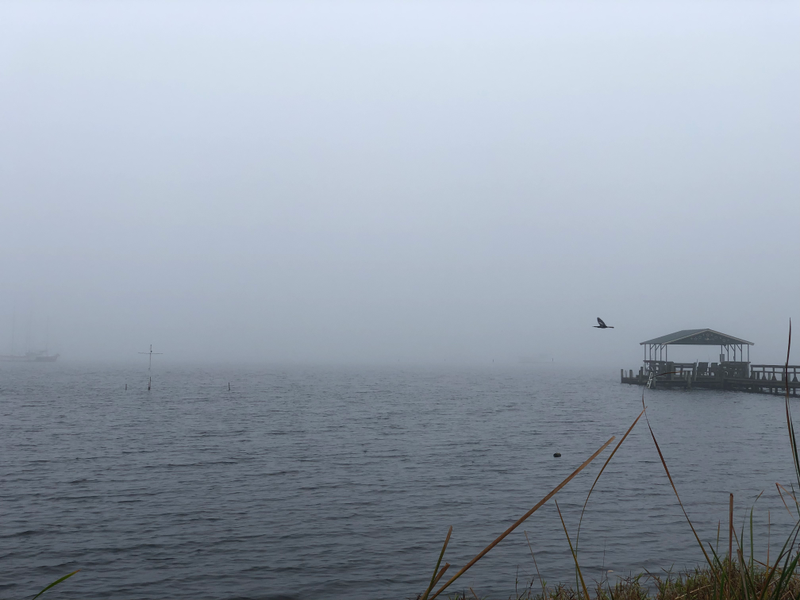 Illustration for article titled Foggy day